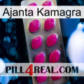 Ajanta Kamagra 09